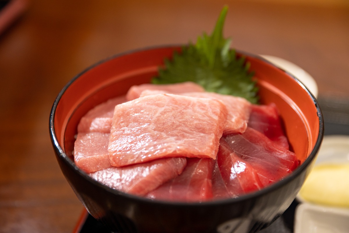 Drive around the Shimokita Peninsula! Let's go eat tuna in Oma!