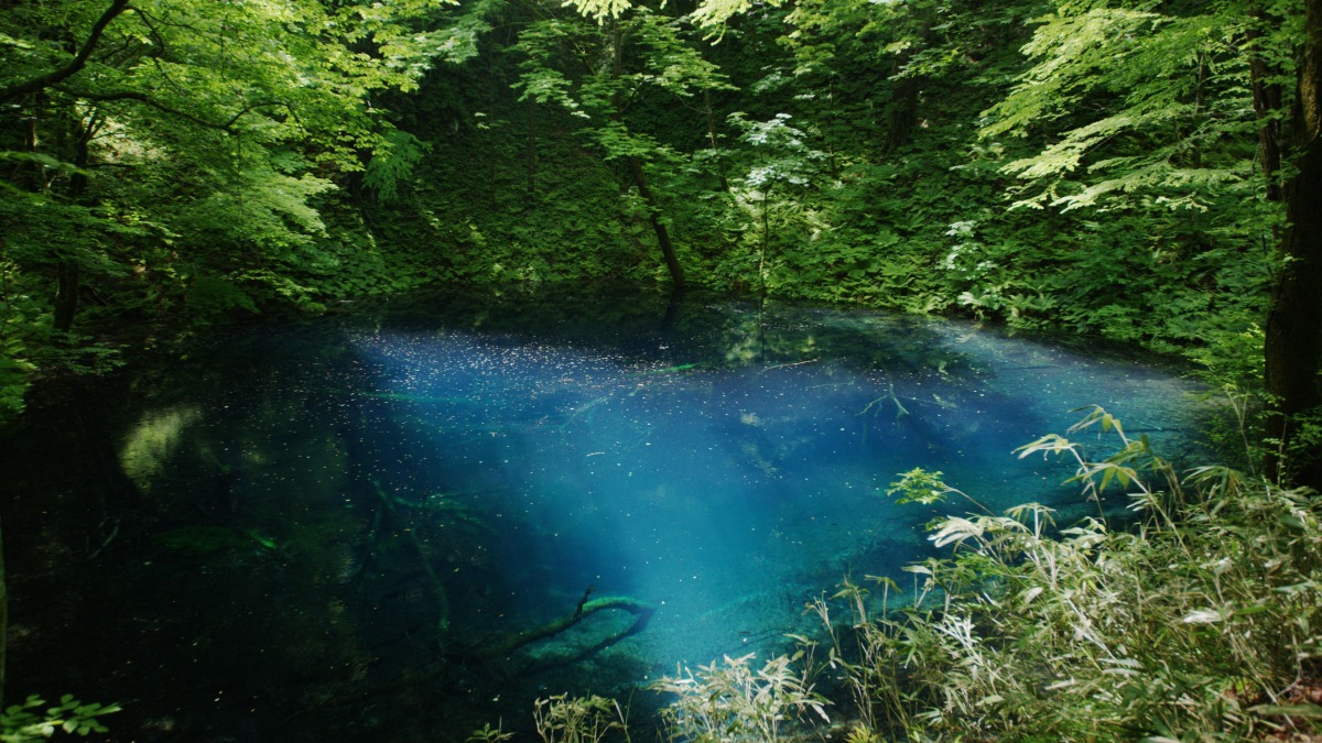 日本的原始自然风景奥津轻与世界自然遗产白神山地尽兴游