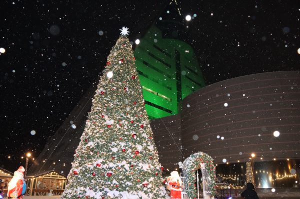 青函クリスマス満喫コース