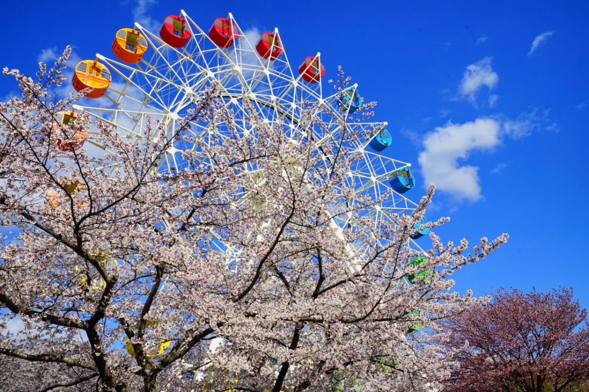 家族で楽しむ!体験型八戸満喫コース