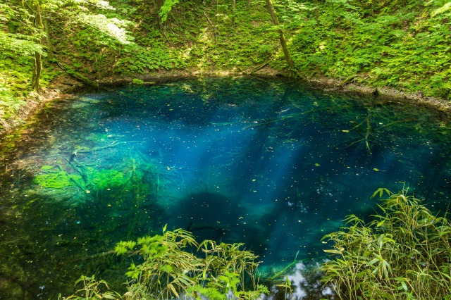 心が洗われる夏の絶景「青池」