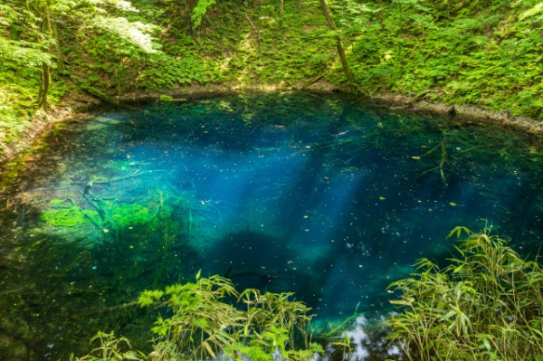 心が洗われる夏の絶景「青池」