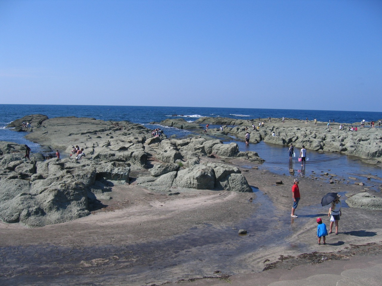 Senjojiki Beach A Place with Abundant Natural Environment and Activities!