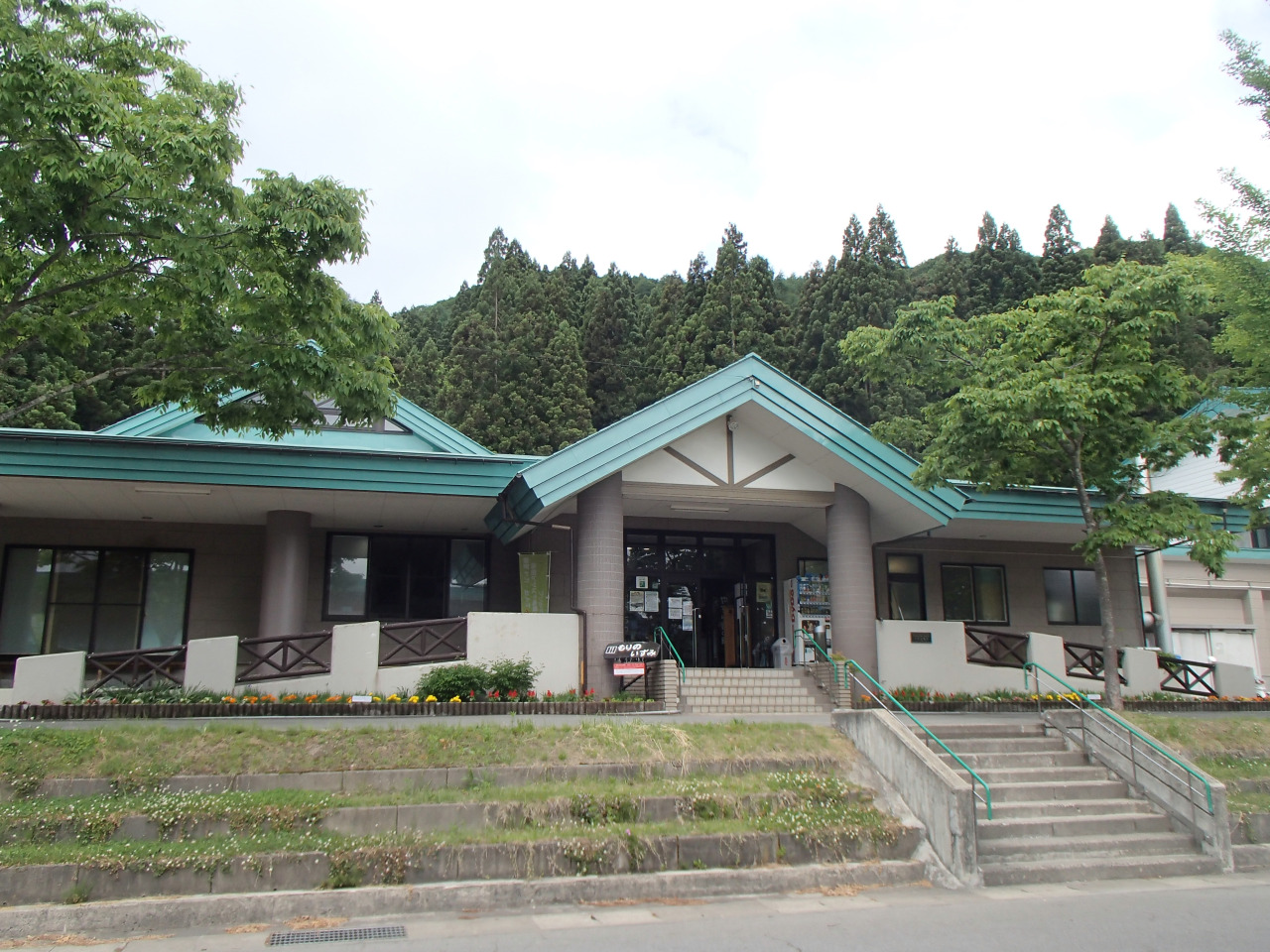 綠色公園森林之泉