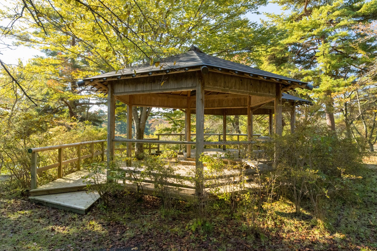 舘野公園 スポット 体験 公式 青森県観光情報サイト Amazing Aomori