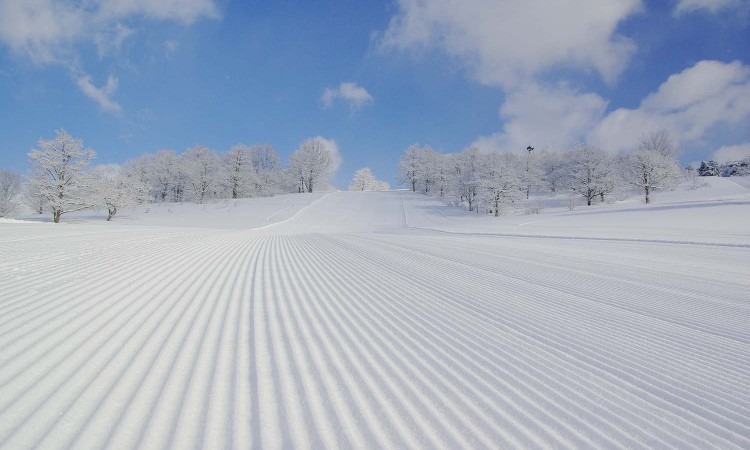 十和田湖溫泉滑雪場