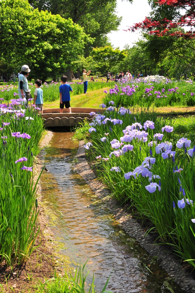 菊ヶ丘運動公園