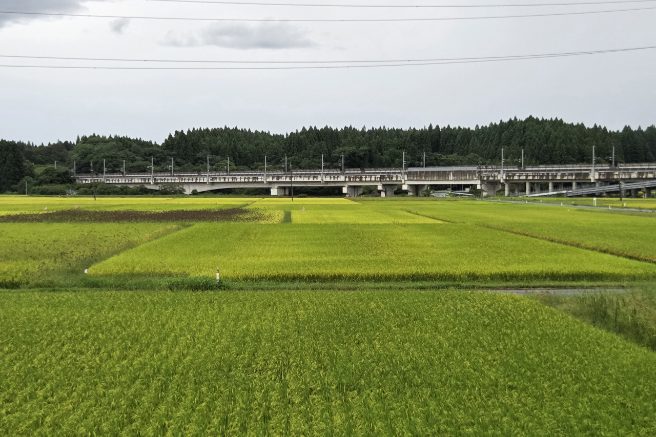 ロビーから見える新幹線高架