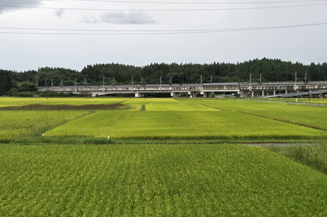 ロビーから見える新幹線高架