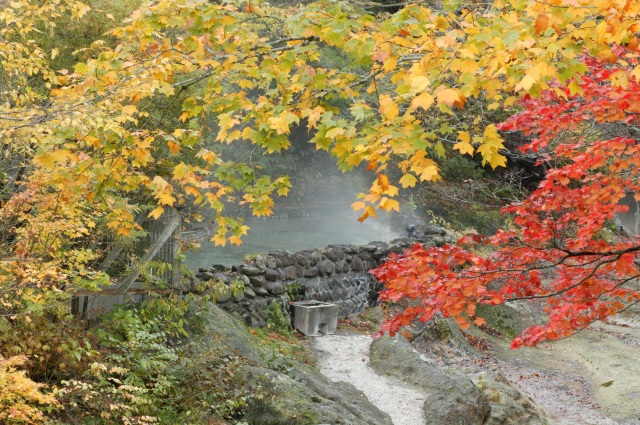 奥藥研溫泉　元祖河童溫泉