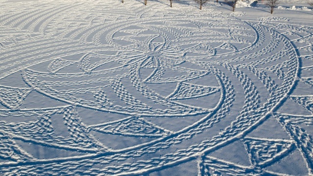 Winter Rice-Paddy Art
