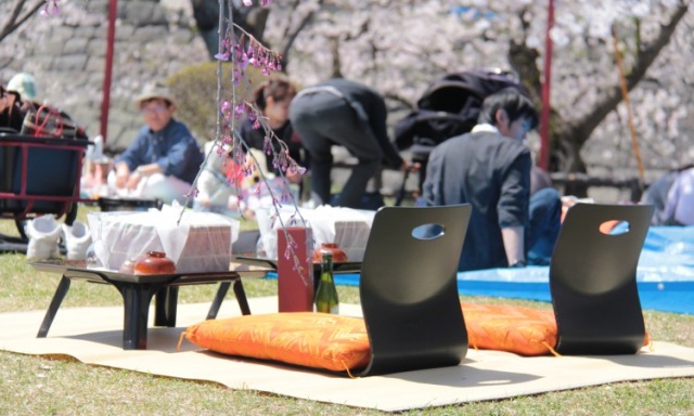 Cherry Blossom Viewing Picnic without Hassle