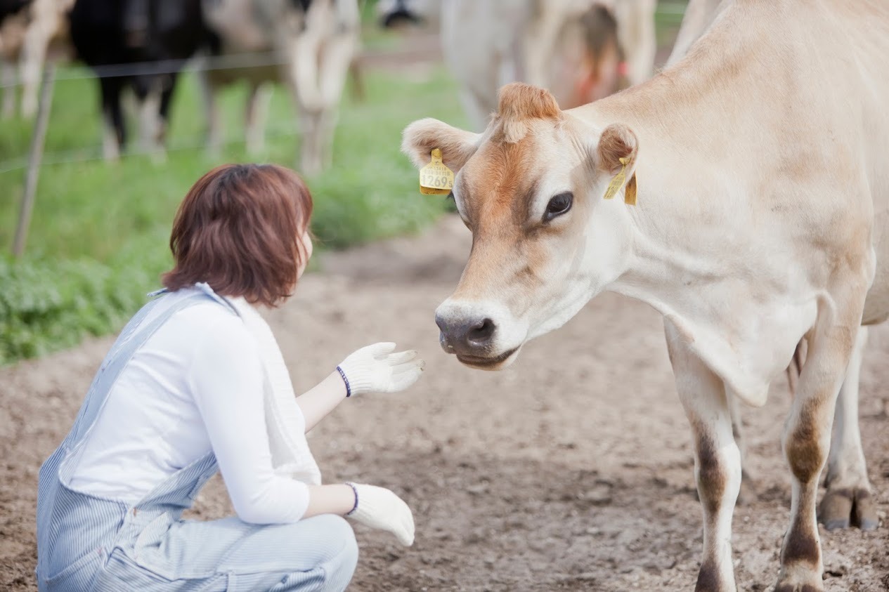 餌やり・お世話などの動物ふれあい体験