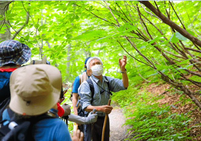 マタギと歩く世界自然遺産白神山地ツアー
