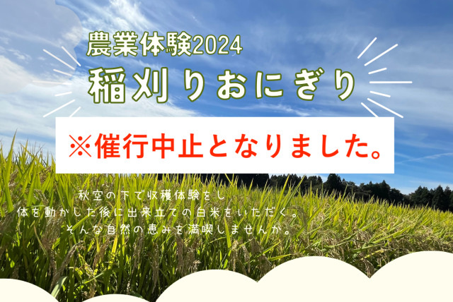 稲刈り・おにぎりツアー