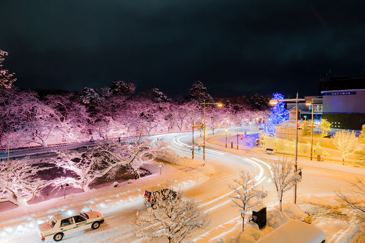 Winter “Cherry Blossom” Illuminations