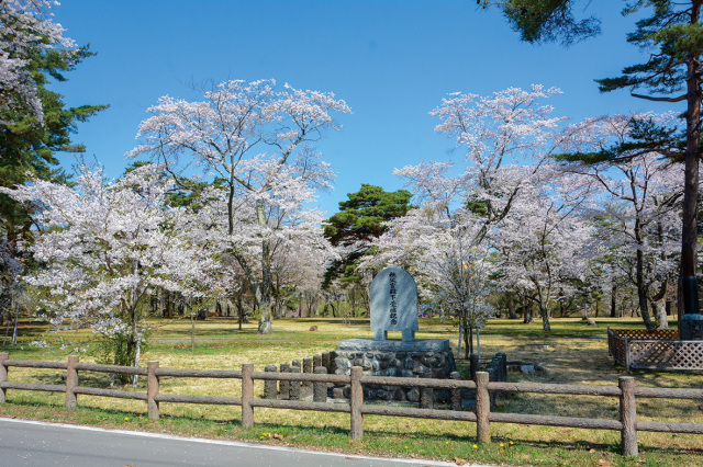 六戸町舘野公園