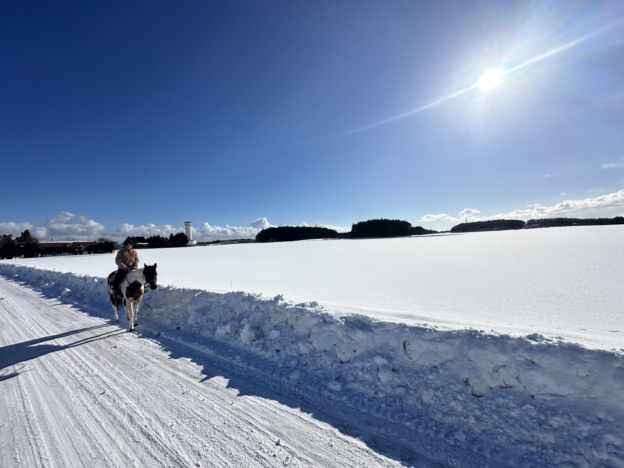 三澤馬術公園(Misawa Horse Park)