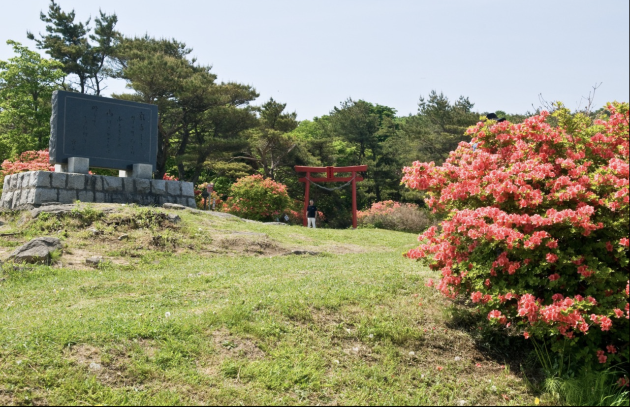 階上岳 家族向けコース