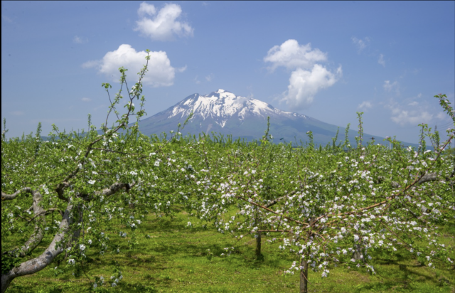 岩木山　百沢コース登山道