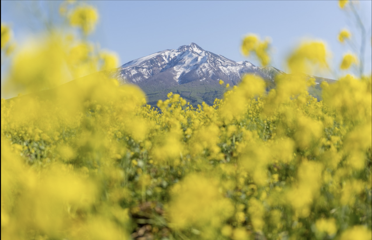 岩木山　長平コース登山道