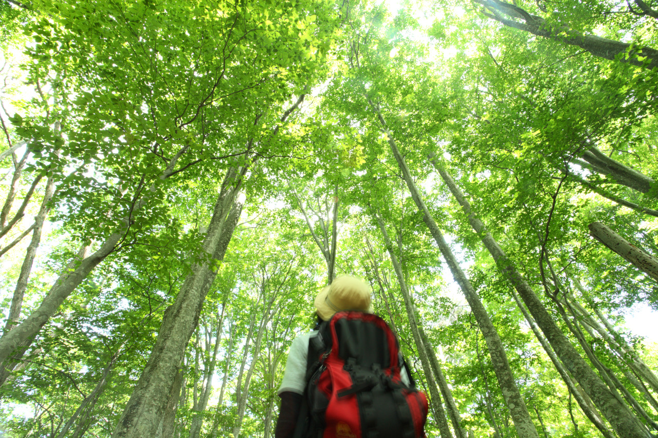 白神アドベンチャーツアー