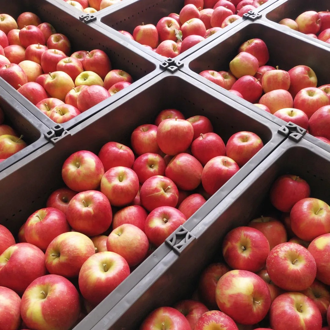 タムラファーム