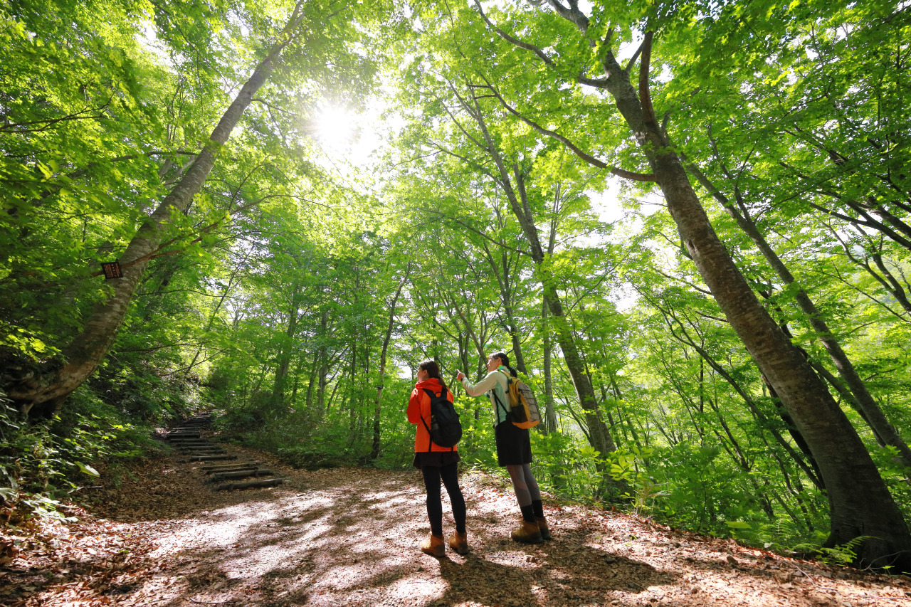 白神山地トレッキングと里山探見！ in西目屋