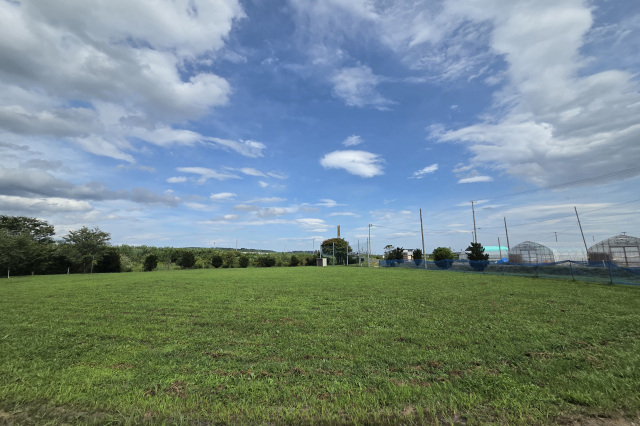 オートキャンプ場