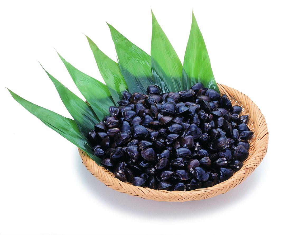 十三湖大和しじみ