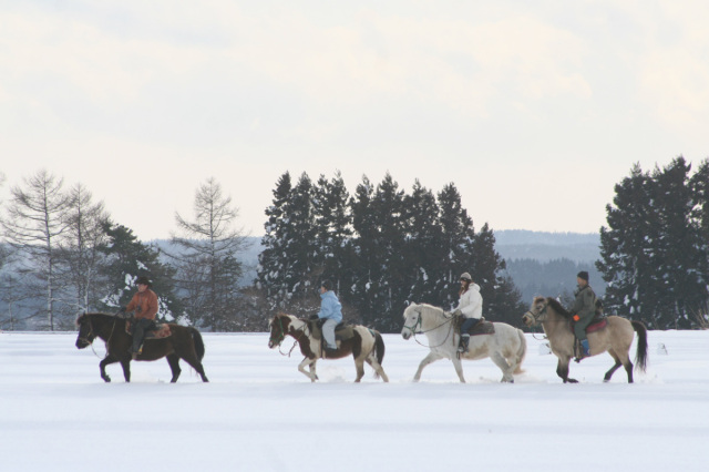 十和田乗馬倶楽部 雪上乗馬トレッキング
