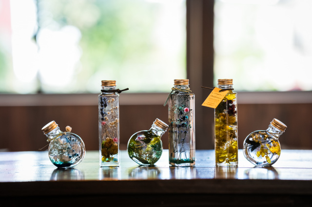 佐井村の”ホップ”を使ったハーバリウム製作体験