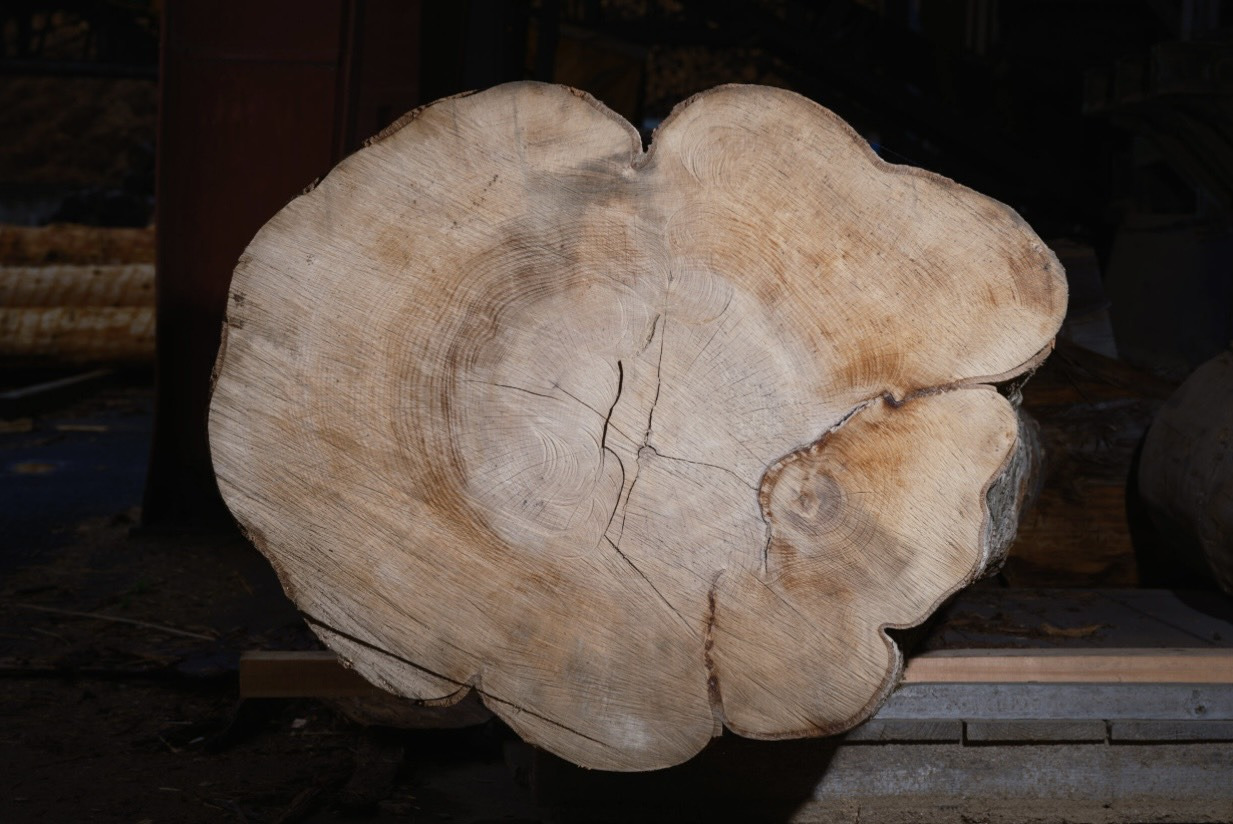 国松希根太 連鎖する息吹