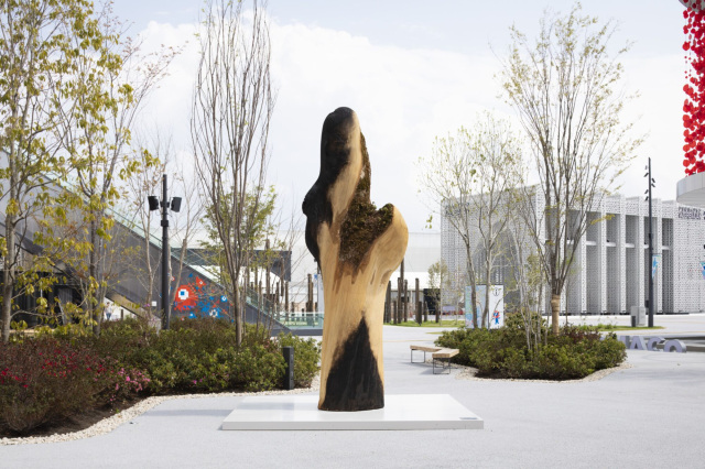 《WORMHOLE》  2025年 約390×120×100cm 木（ミズナラ） 2025年日本国際博覧会 展示風景 展示場所：コネクティングゾーン ポップアップステージ北 空の広場 撮影：忽那光一郎