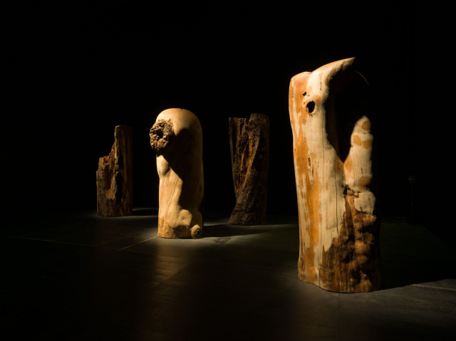 《WORMHOLE》  2024年 札幌国際芸術祭2024 展示風景 撮影：藤倉翼