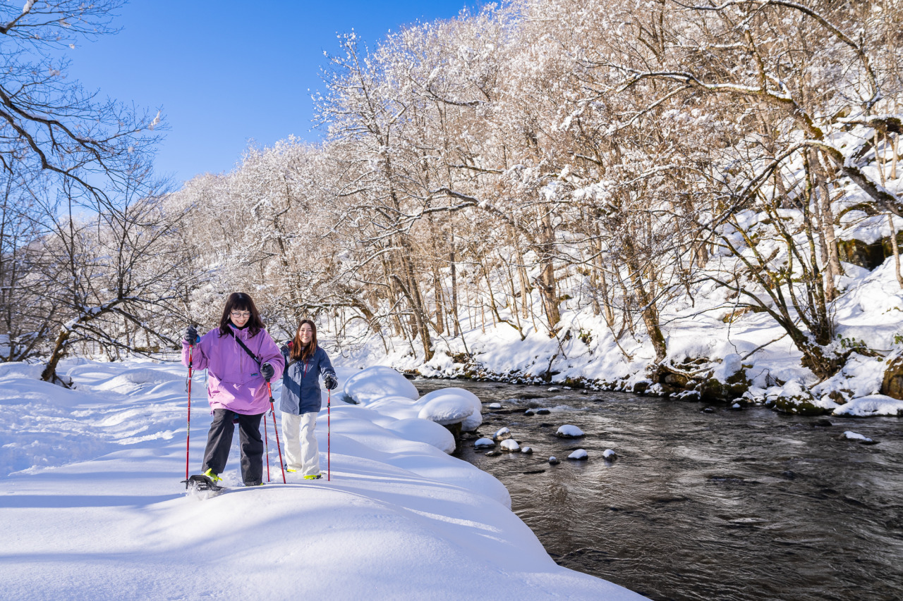 雪の奥入瀬さんぽ