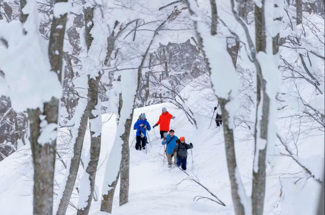 酸ヶ湯スノーシューハイキング