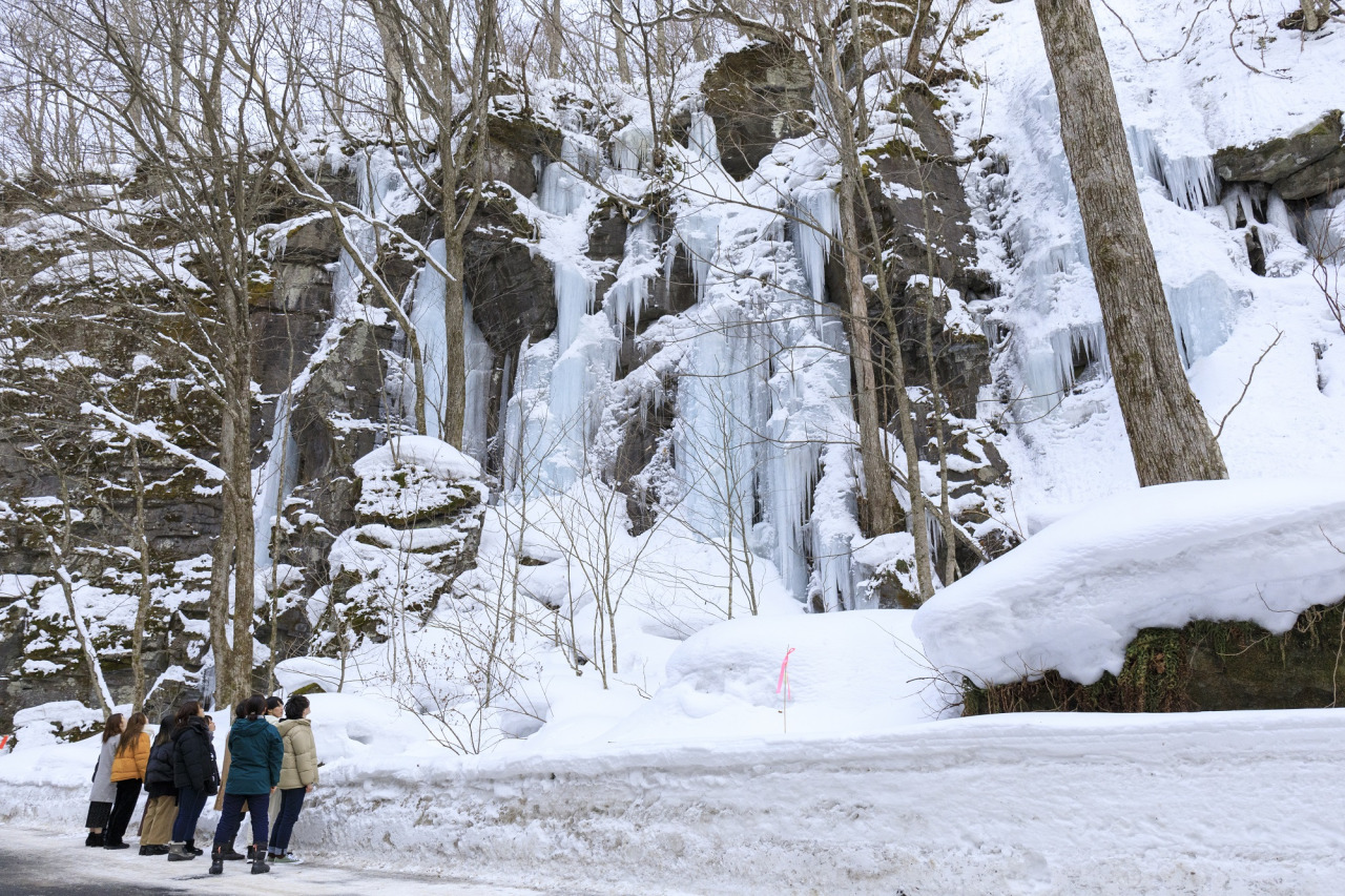 画像提供:十和田奥入瀬観光機構