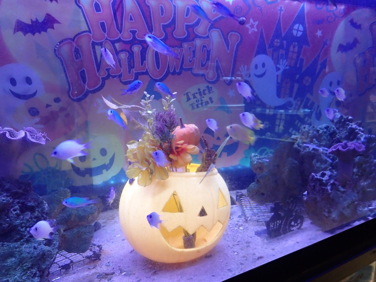水の中のハロウィン展