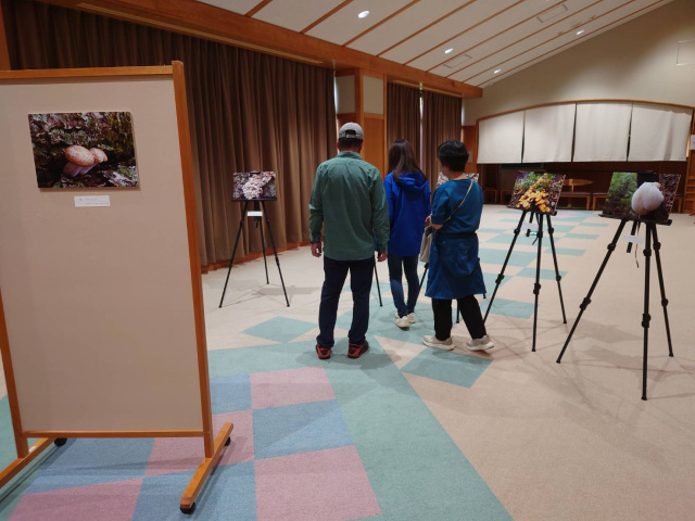 白神山地きのこ写真展