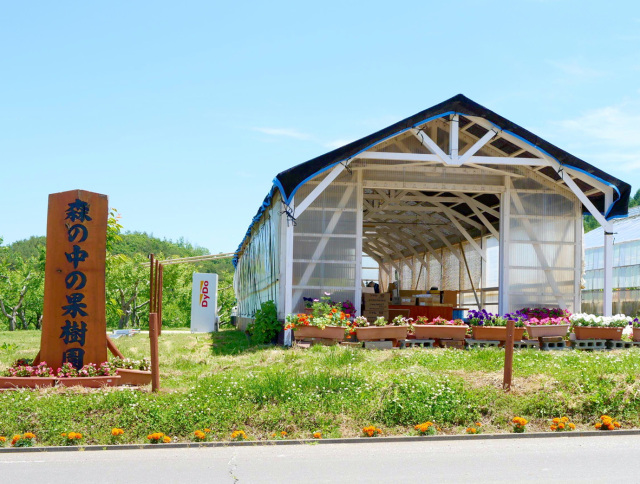 森の中の果樹園