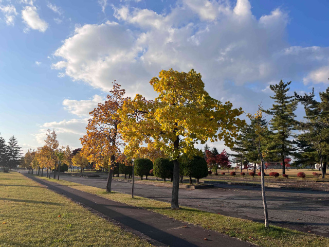 児童遊戯広場前