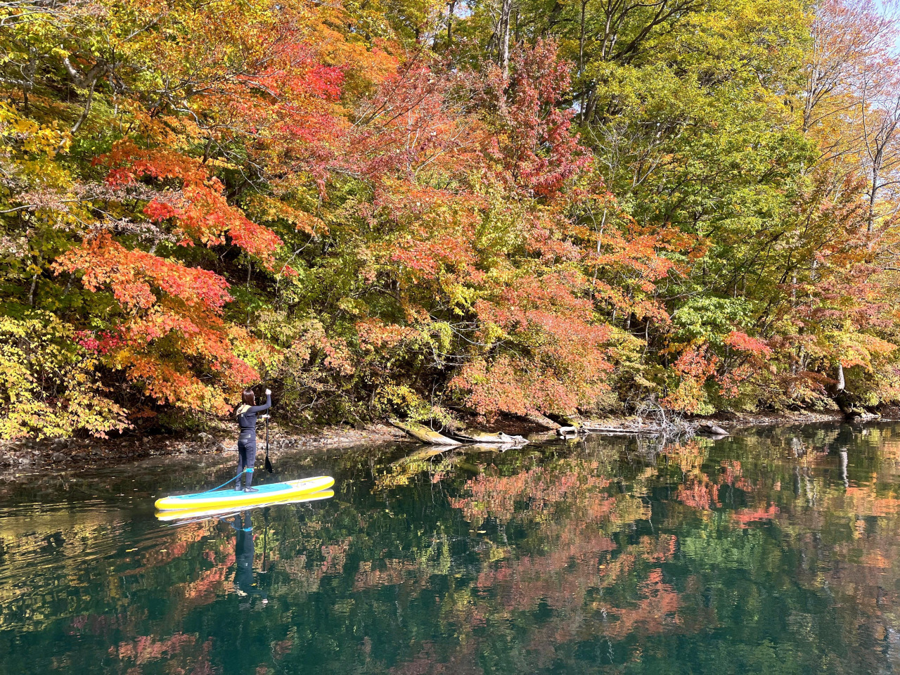 十和田湖SUPツアー・紅葉SUPツアー