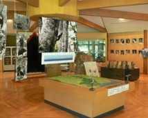 自然観察館ハロー白神