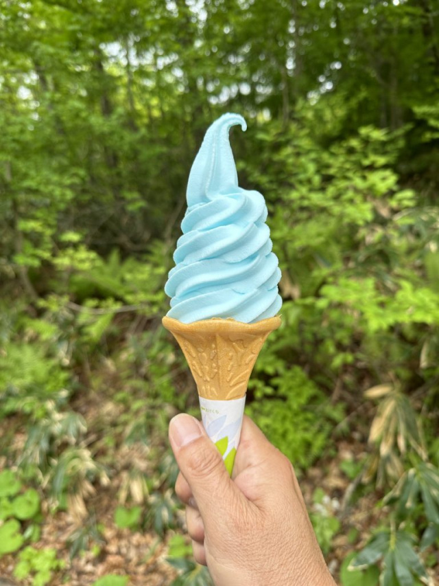 青池サイダーソフト