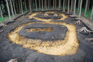 国史跡「阿光坊古墳群」