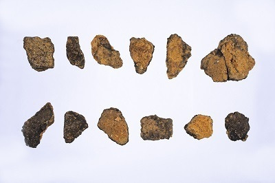 重要文化財「無文土器」