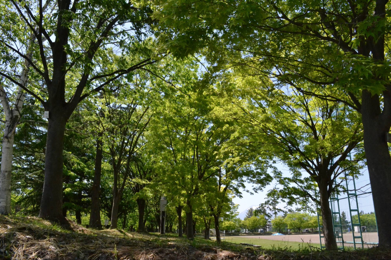 弘前市運動公園