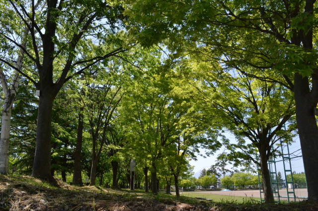 弘前市運動公園