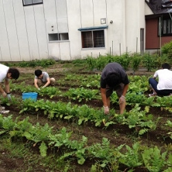 陽光ファームいわき